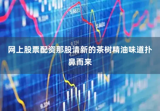 网上股票配资那股清新的茶树精油味道扑鼻而来